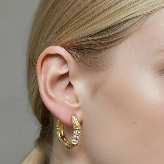 Golden Stainless Steel 18k Gold Plated studded Earring For Women